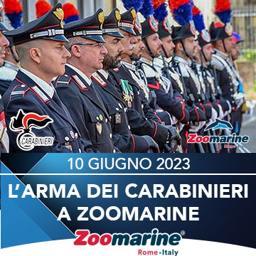 L'ARMA DEI CARABINIERI A ZOOMARINE